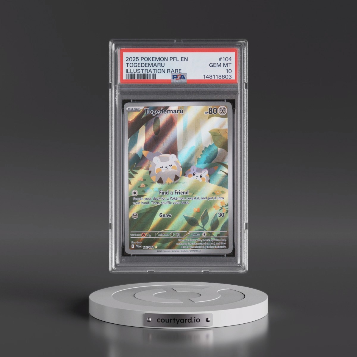 2025 Pokémon Pfl EN-Phantasmal Flames #104 Togedemaru - Illustration Rare (PSA 10 GEM MINT)