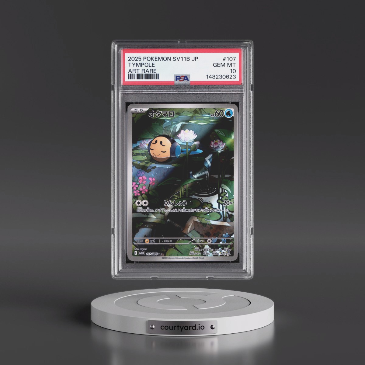 2025 Pokémon Sv11b-Black Bolt #107 Tympole - Art Rare (PSA 10 GEM MINT)