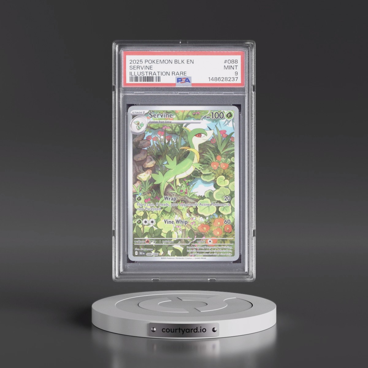 2025 Pokémon Blk EN-Black Bolt #088 Servine - Illustration Rare (PSA 9 MINT)