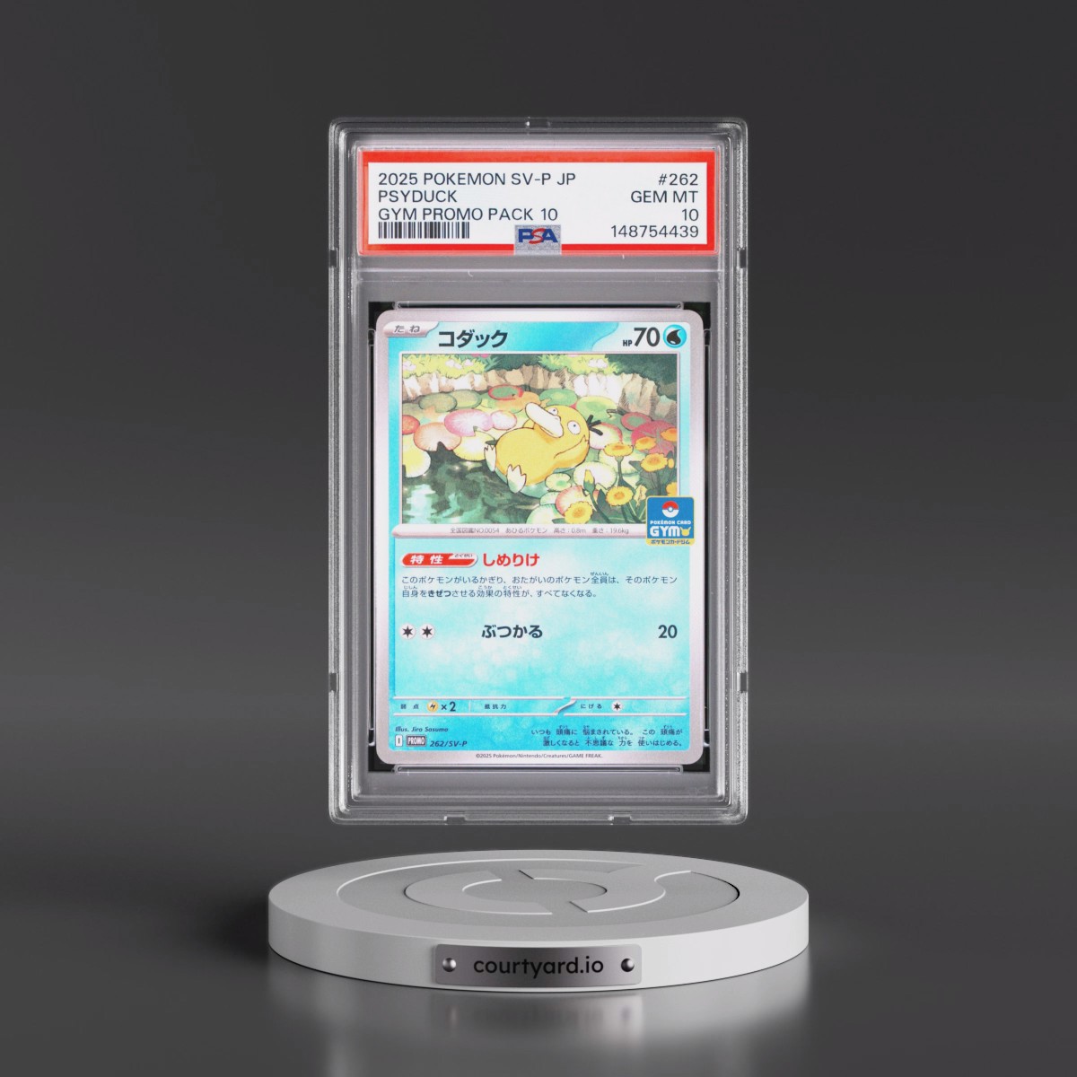 2025 Pokémon SV-P Promo #262 Psyduck - Gym Promo Pack 10 (PSA 10 GEM MINT)