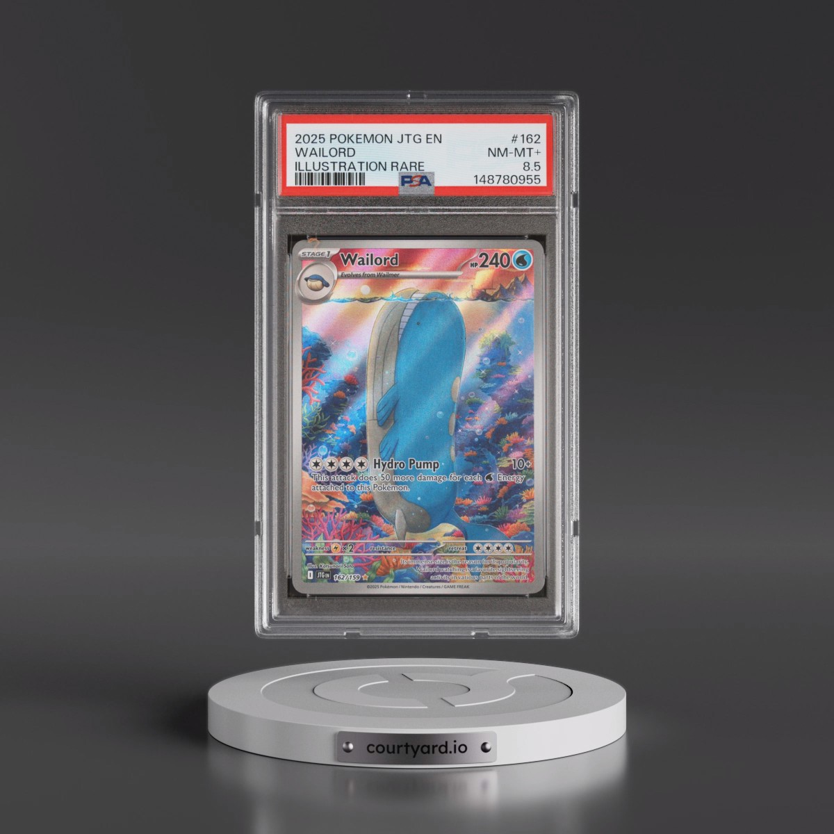2025 Pokémon Jtg EN-Journey Together #162 Wailord - Illustration Rare (PSA 8.5 NM-MT+)