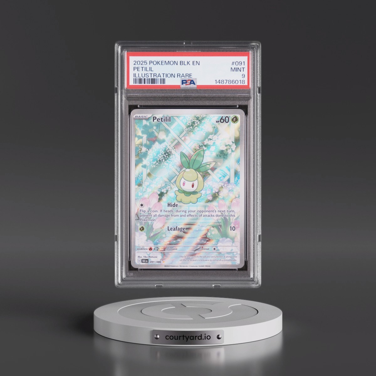 2025 Pokémon Blk EN-Black Bolt #091 Petilil - Illustration Rare (PSA 9 MINT)