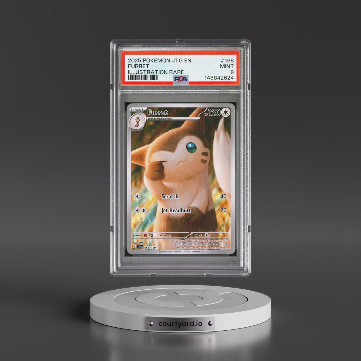 2025 Pokémon Jtg EN-Journey Together #168 Furret - Illustration Rare (PSA 9 MINT)