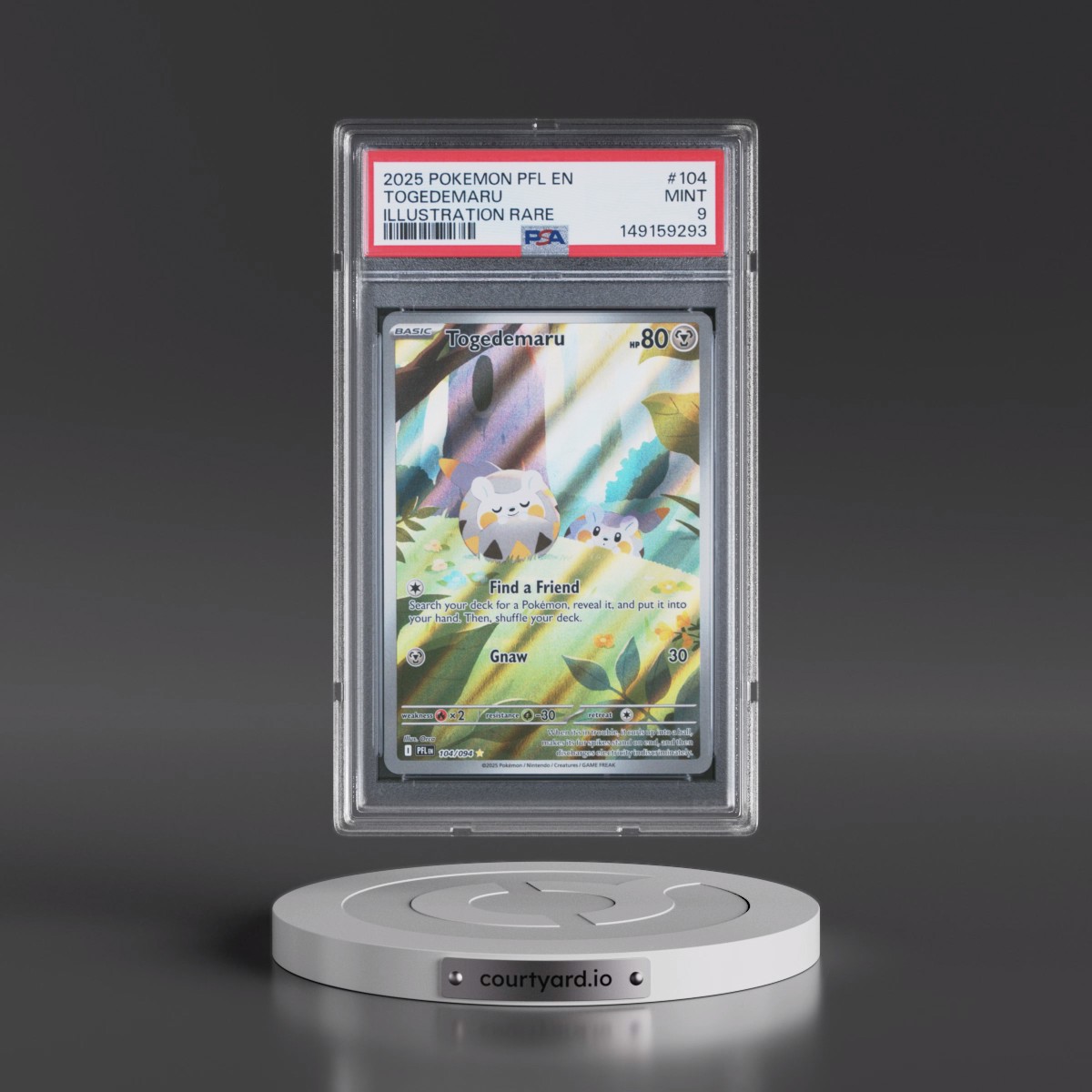 2025 Pokémon Pfl EN-Phantasmal Flames #104 Togedemaru - Illustration Rare (PSA 9 MINT)