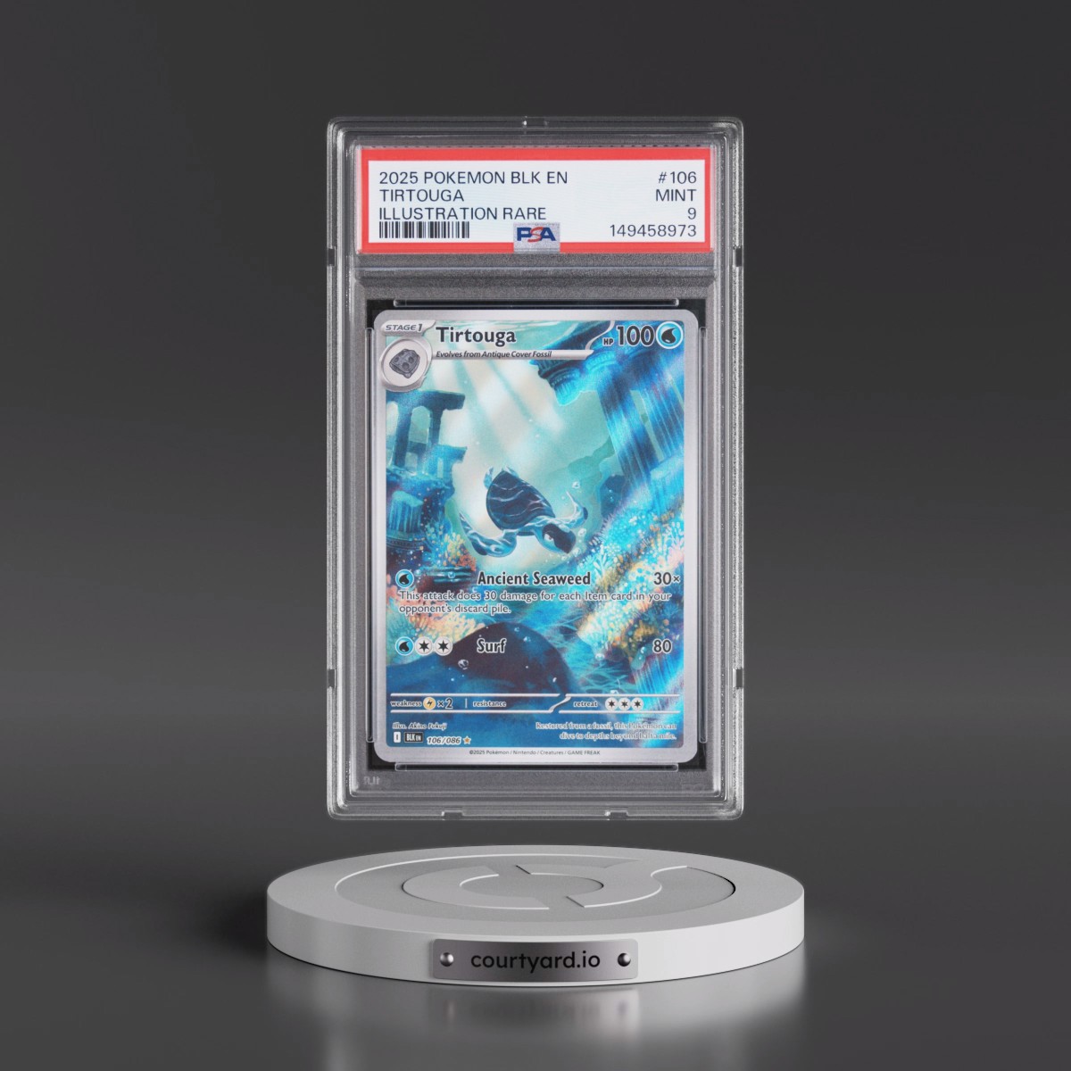 2025 Pokémon Blk EN-Black Bolt #106 Tirtouga - Illustration Rare (PSA 9 MINT)