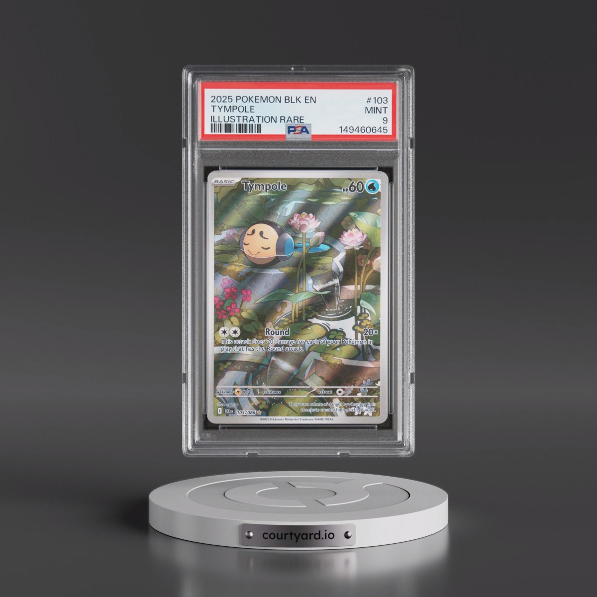2025 Pokémon Blk EN-Black Bolt #103 Tympole - Illustration Rare (PSA 9 MINT)