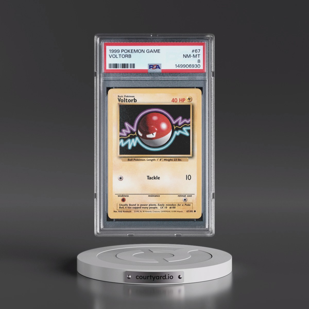 1999 Pokémon Game #67 Voltorb (PSA 8 NM-MT)