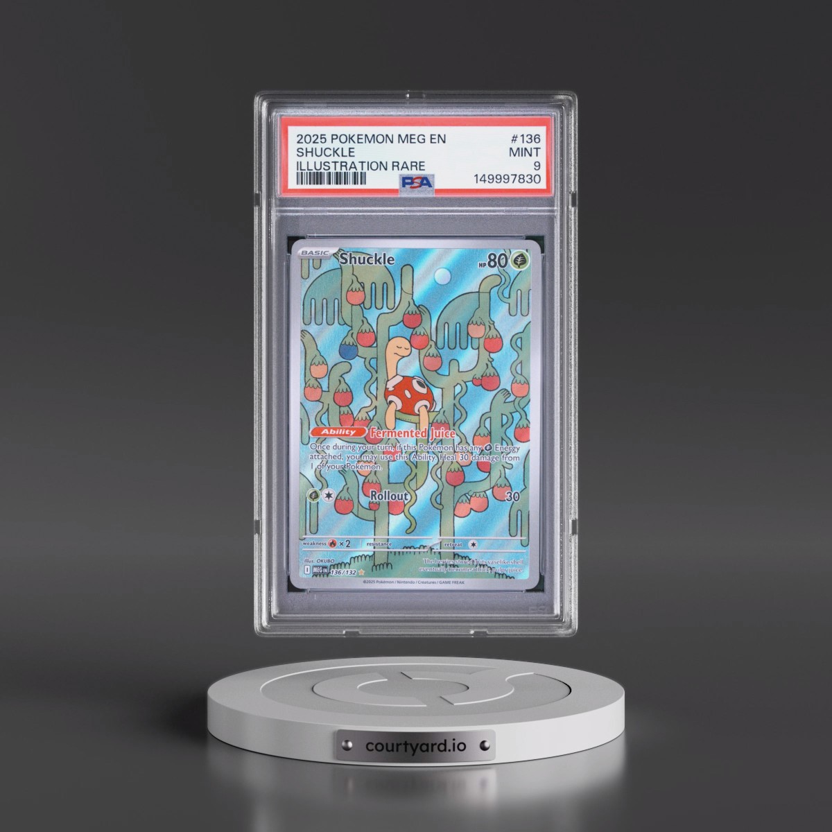 2025 Pokémon Meg EN-Mega Evolution #136 Shuckle - Illustration Rare (PSA 9 MINT)