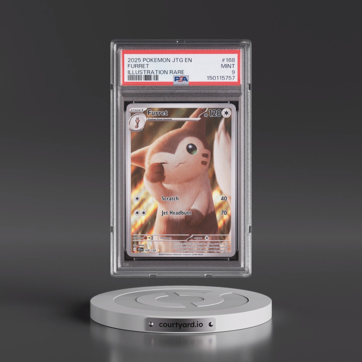 2025 Pokémon Jtg EN-Journey Together #168 Furret - Illustration Rare (PSA 9 MINT)