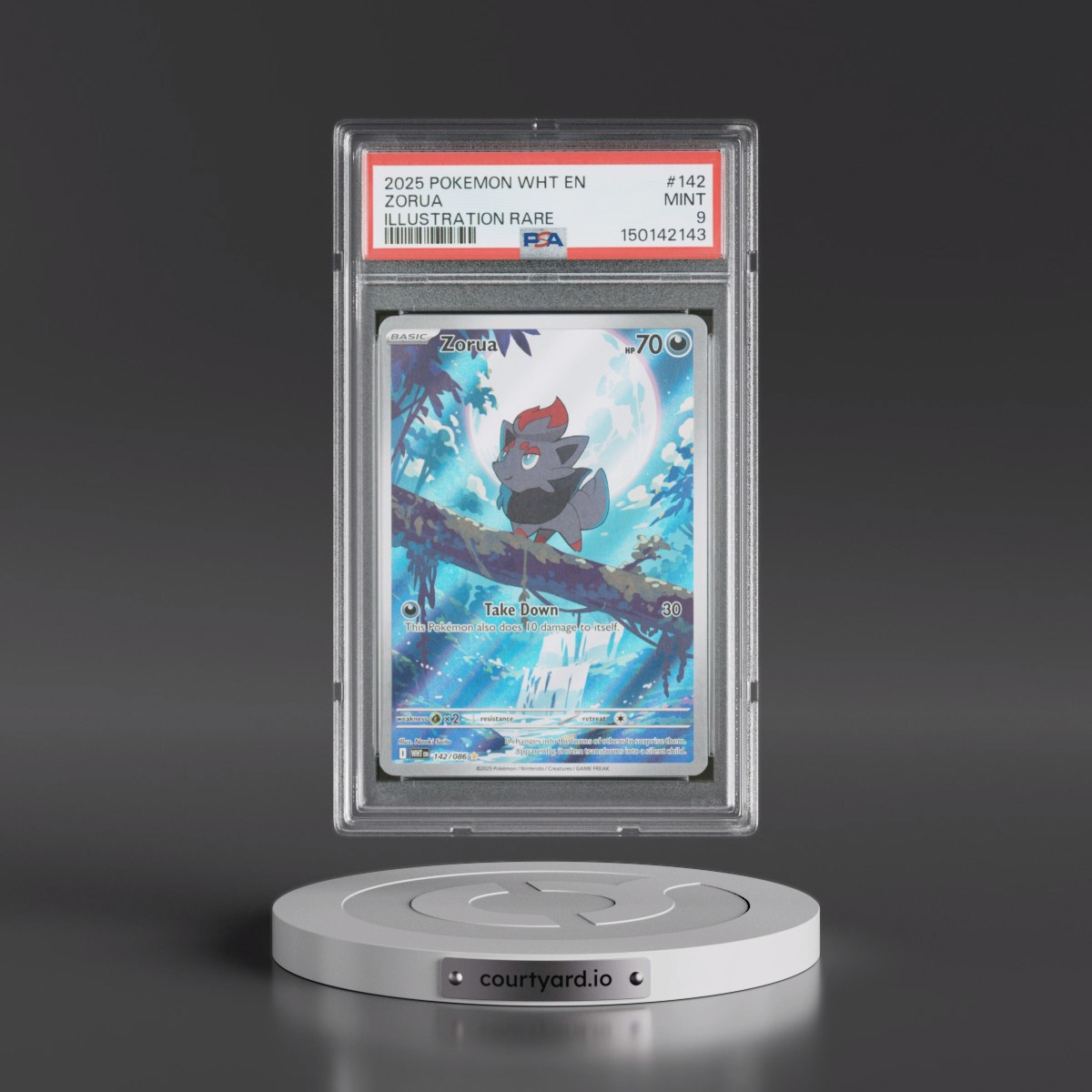 2025 Pokémon Wht EN-White Flare #142 Zorua - Illustration Rare (PSA 9 MINT)