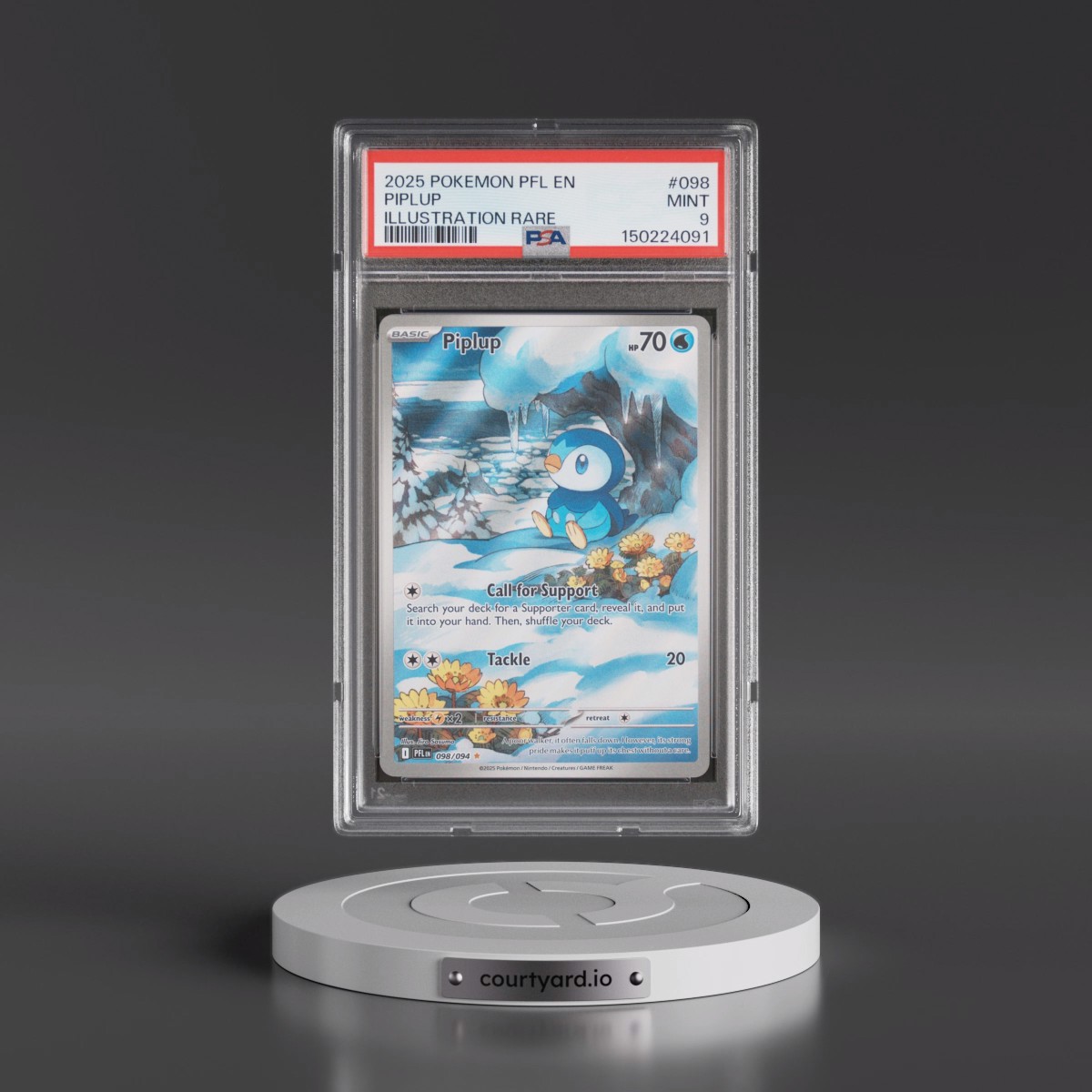 2025 Pokémon Pfl EN-Phantasmal Flames #098 Piplup - Illustration Rare (PSA 9 MINT)
