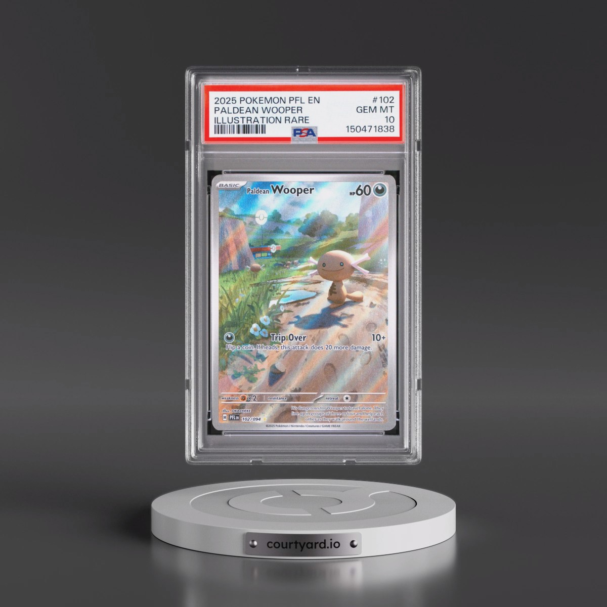 2025 Pokémon Pfl EN-Phantasmal Flames #102 Paldean Wooper - Illustration Rare (PSA 10 GEM MINT)