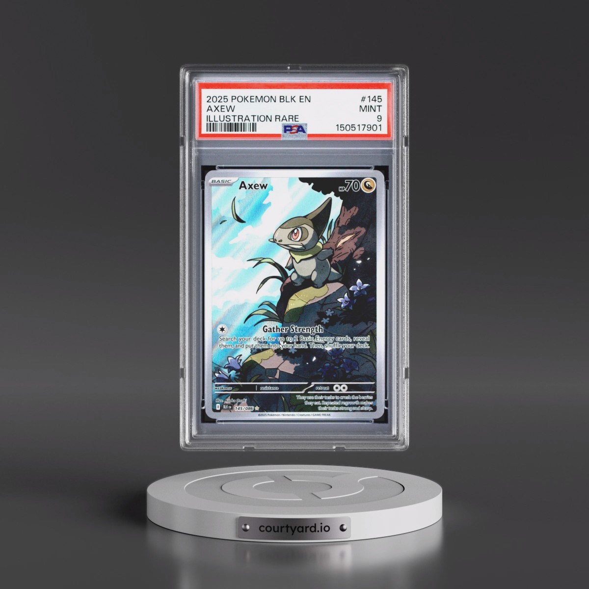 2025 Pokémon Blk EN-Black Bolt #145 Axew - Illustration Rare (PSA 9 MINT)