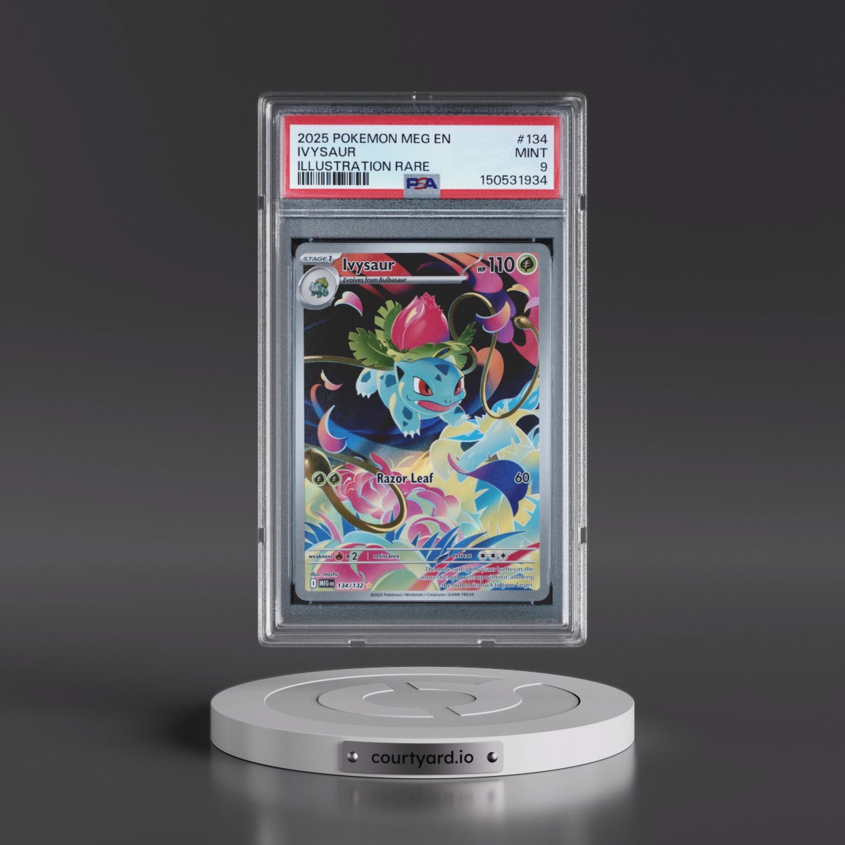 2025 Pokémon Meg EN-Mega Evolution #134 Ivysaur - Illustration Rare (PSA 9 MINT)