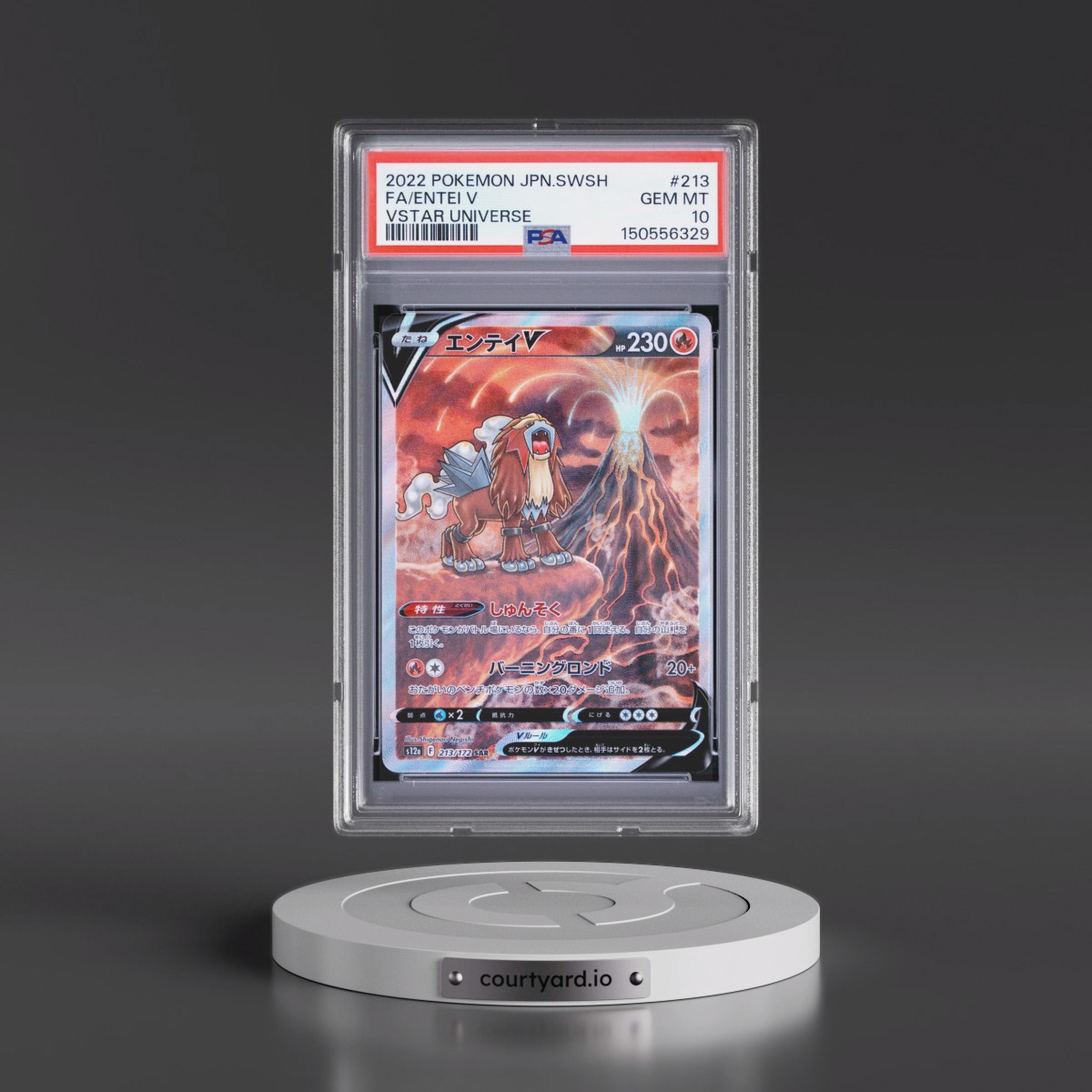 2022 Pokémon Sword & Shield Vstar Universe #213 Entei V - Holo Full Art (PSA 10 GEM MINT)
