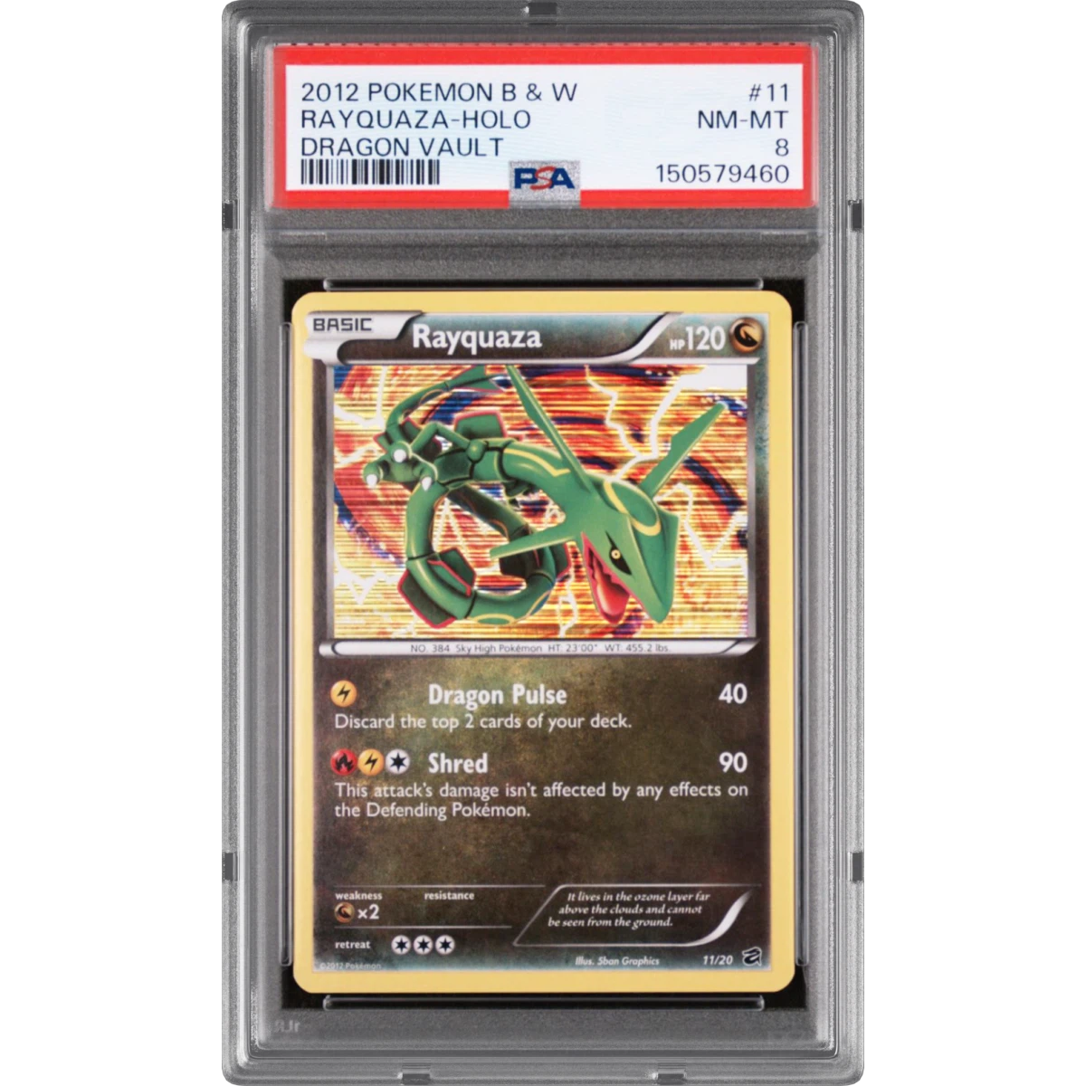Pokémon Rayquaza