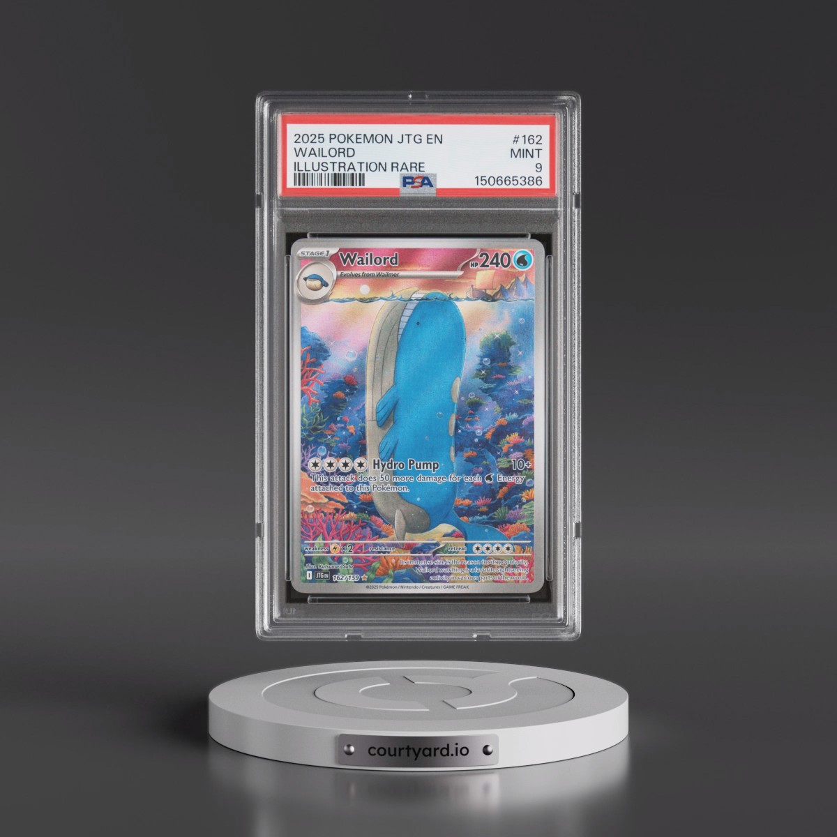 2025 Pokémon Jtg EN-Journey Together #162 Wailord - Illustration Rare (PSA 9 MINT)