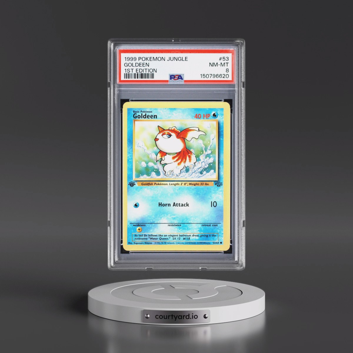 1999 Pokémon Jungle #53 Goldeen - 1st Edition (PSA 8 NM-MT)