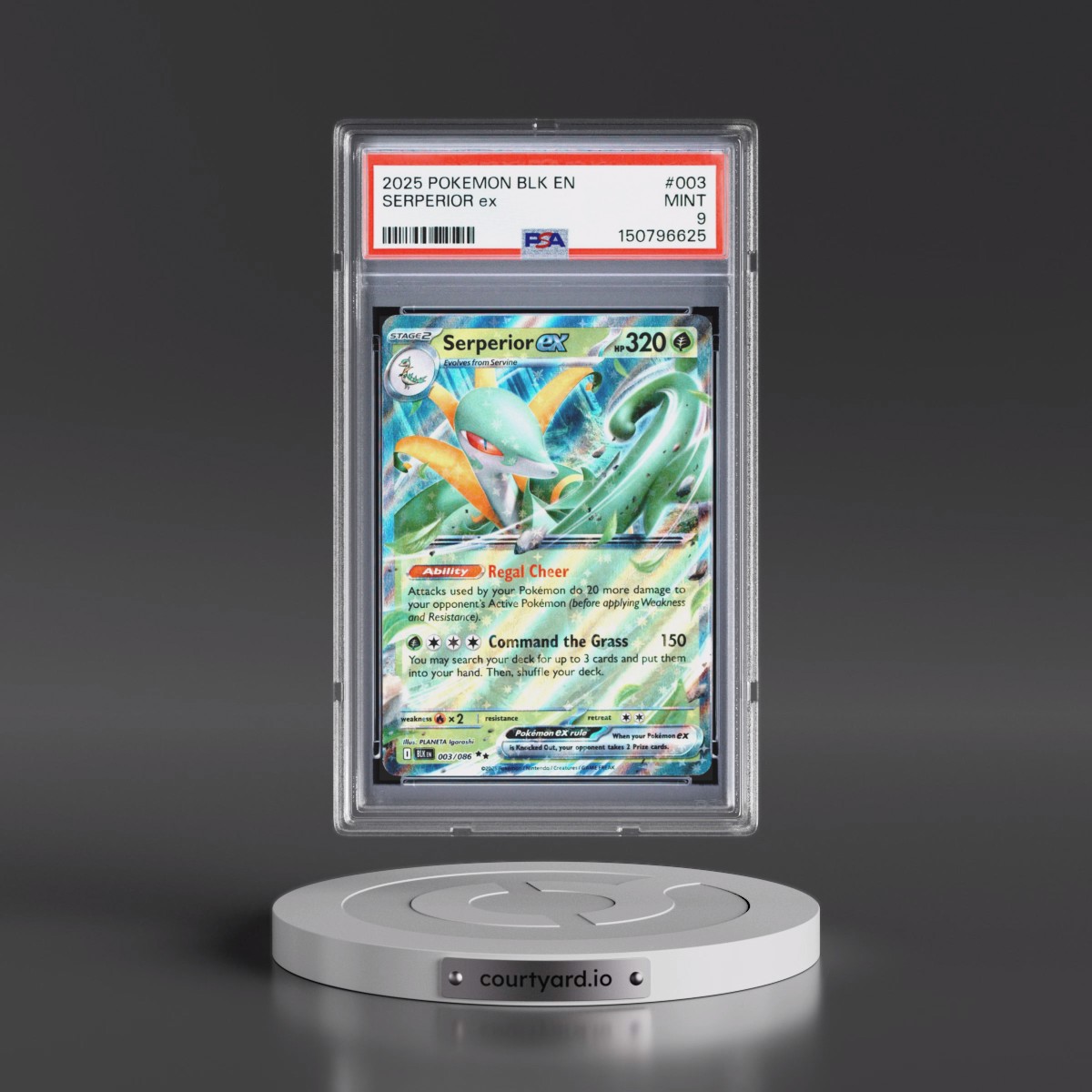 2025 Pokémon Blk EN-Black Bolt #003 Serperior EX - Holo (PSA 9 MINT)