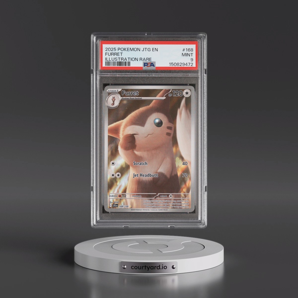 2025 Pokémon Jtg EN-Journey Together #168 Furret - Illustration Rare (PSA 9 MINT)