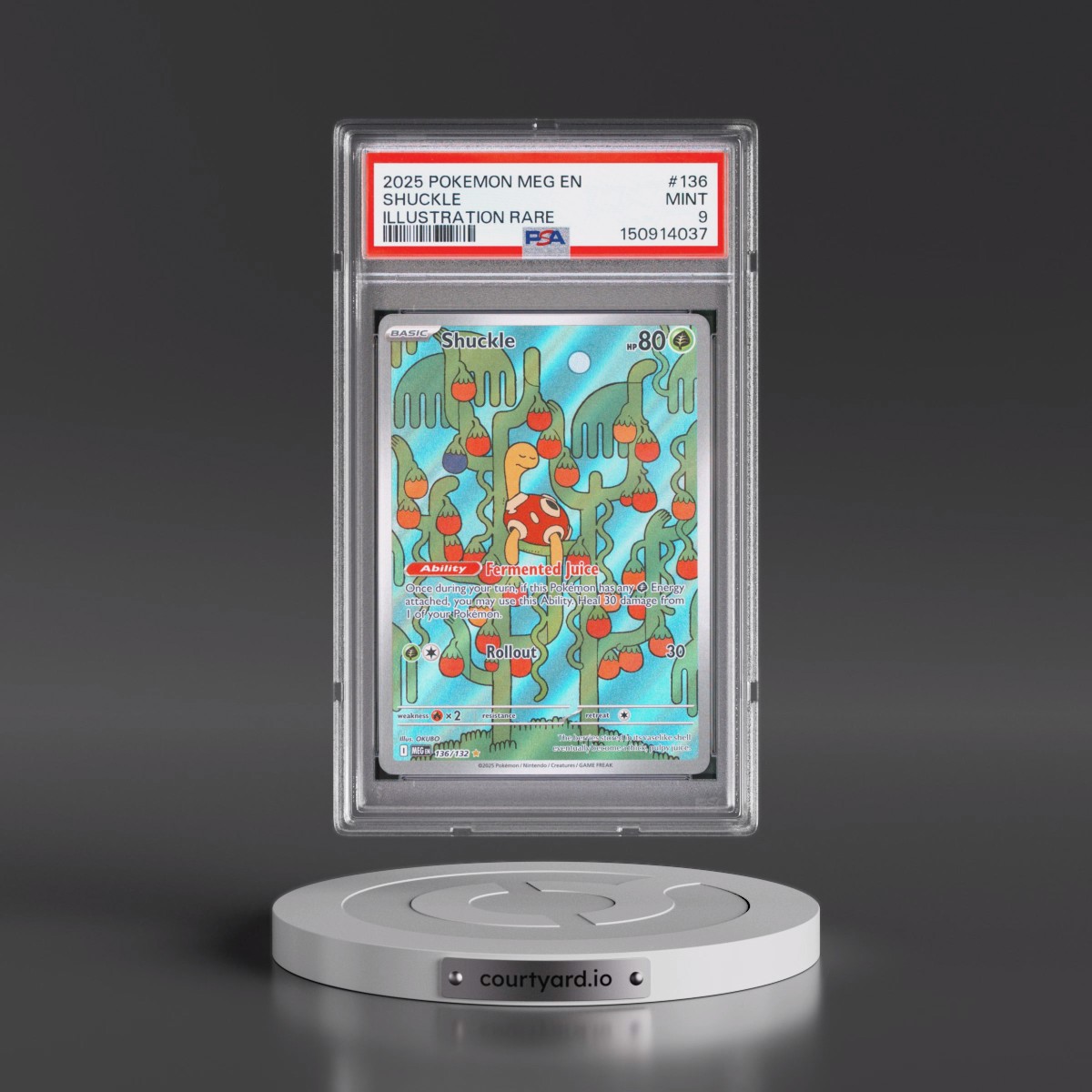 2025 Pokémon Meg EN-Mega Evolution #136 Shuckle - Illustration Rare (PSA 9 MINT)