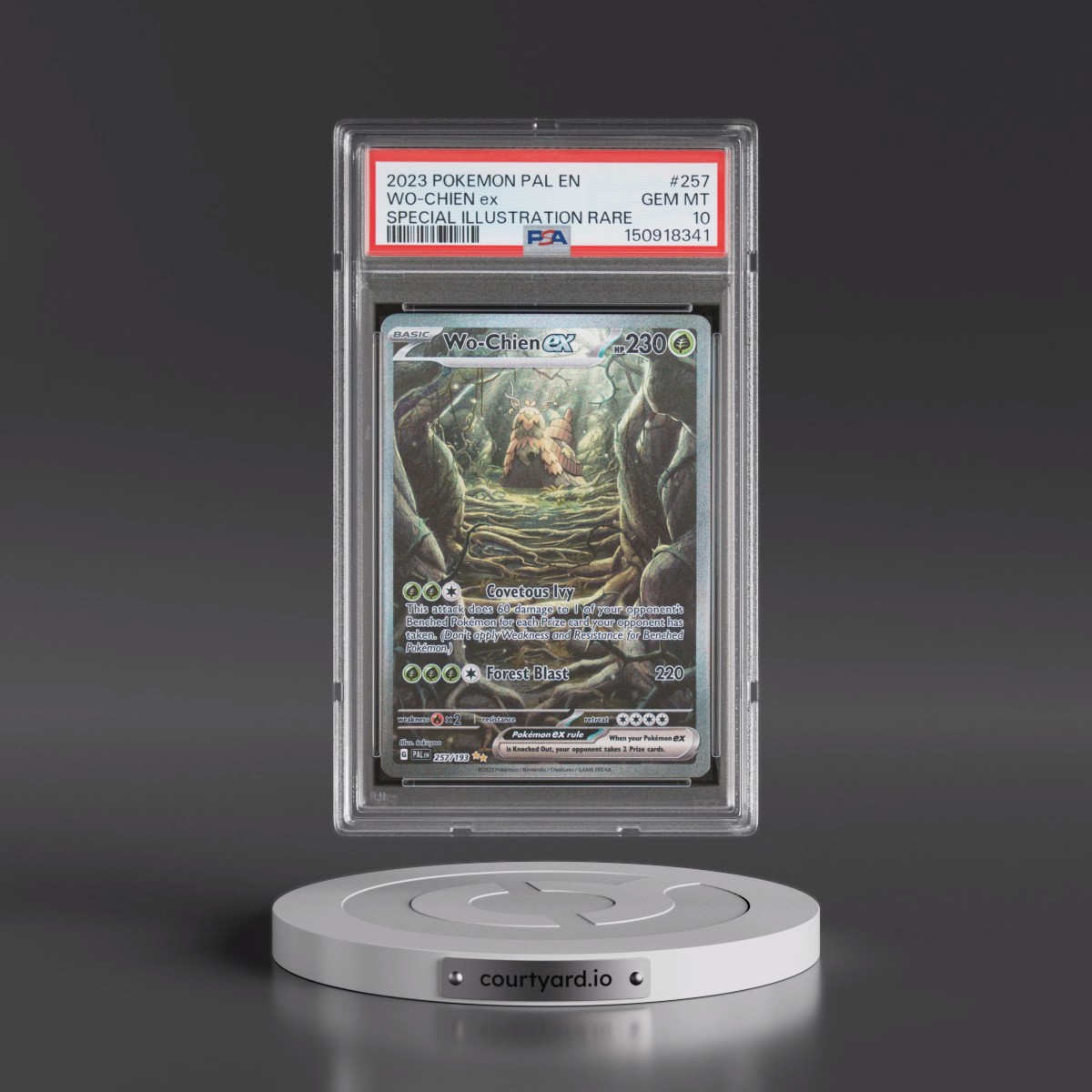 2023 Pokémon Pal EN-Paldea Evolved #257 WO-Chien EX - Holo Special Illustration Rare (PSA 10 GEM MINT)