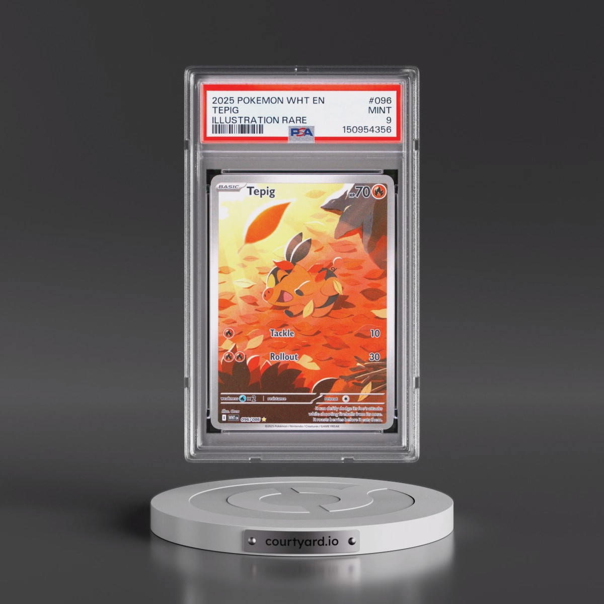 2025 Pokémon Wht EN-White Flare #096 Tepig - Illustration Rare (PSA 9 MINT)