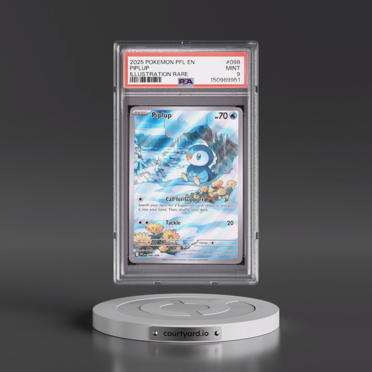 2025 Pokémon Pfl EN-Phantasmal Flames #098 Piplup - Illustration Rare (PSA 9 MINT)