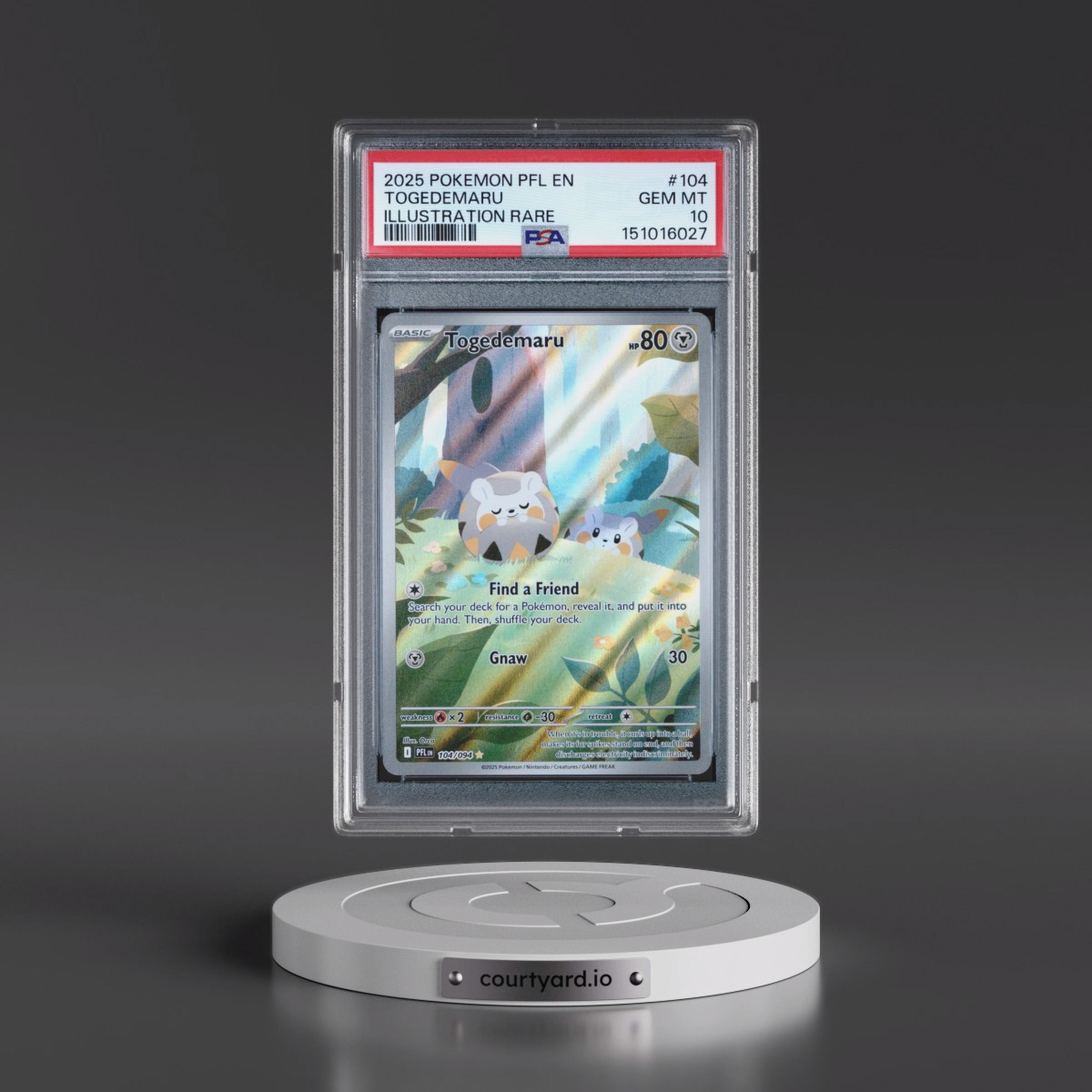 2025 Pokémon Pfl EN-Phantasmal Flames #104 Togedemaru - Illustration Rare (PSA 10 GEM MINT)