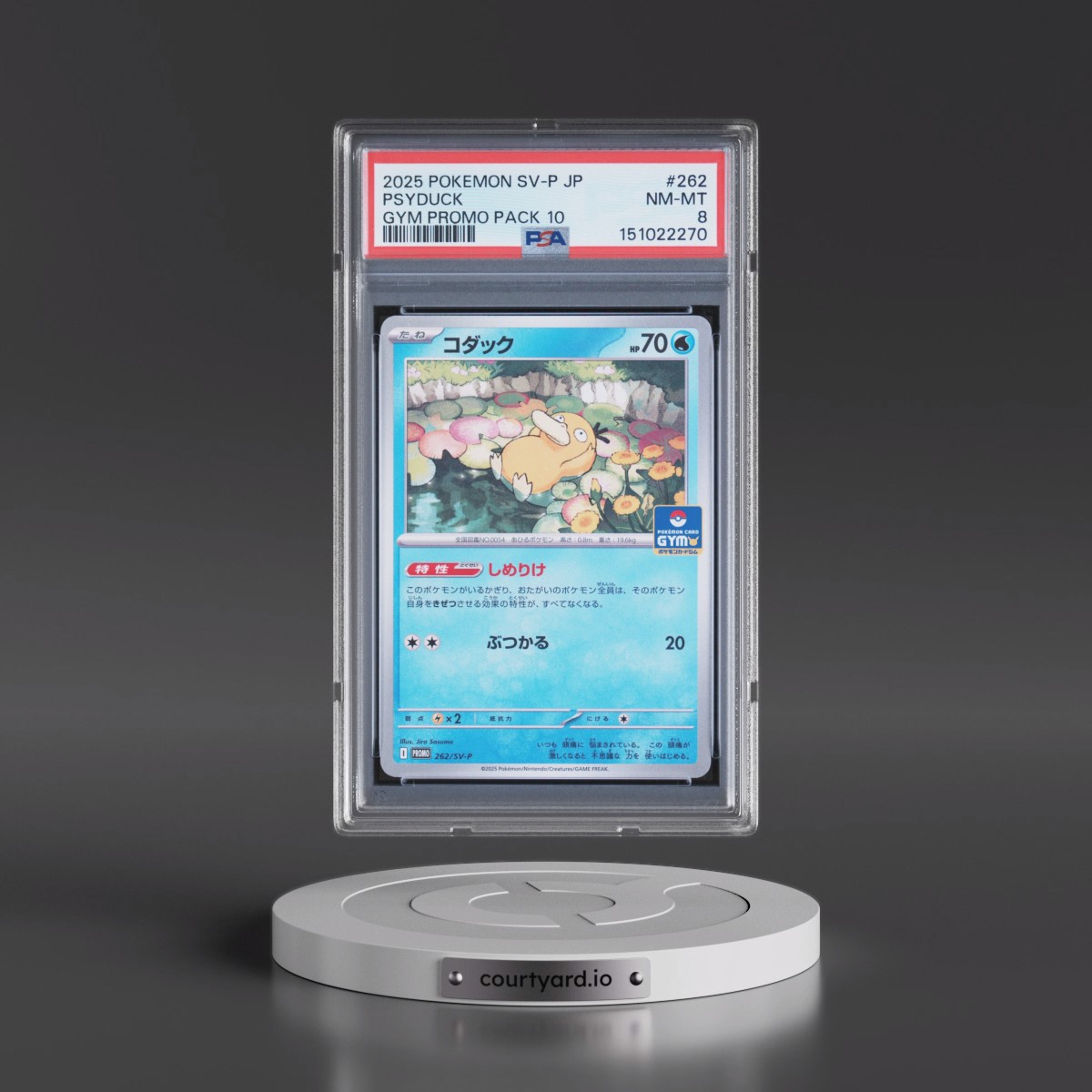 2025 Pokémon SV-P Promo #262 Psyduck - Gym Promo Pack 10 (PSA 8 NM-MT)