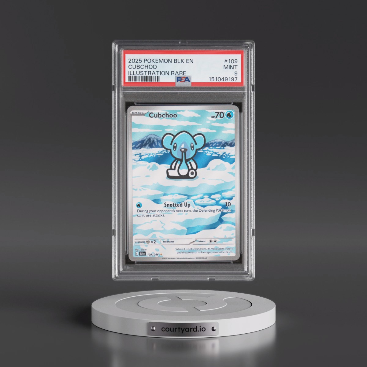 2025 Pokémon Blk EN-Black Bolt #109 Cubchoo - Illustration Rare (PSA 9 MINT)