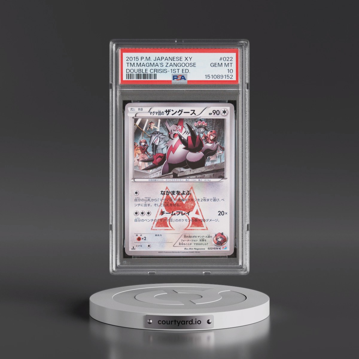 2015 Pokémon XY Double Crisis #022 Team Magma's Zangoose - 1st Edition (PSA 10 GEM MINT)