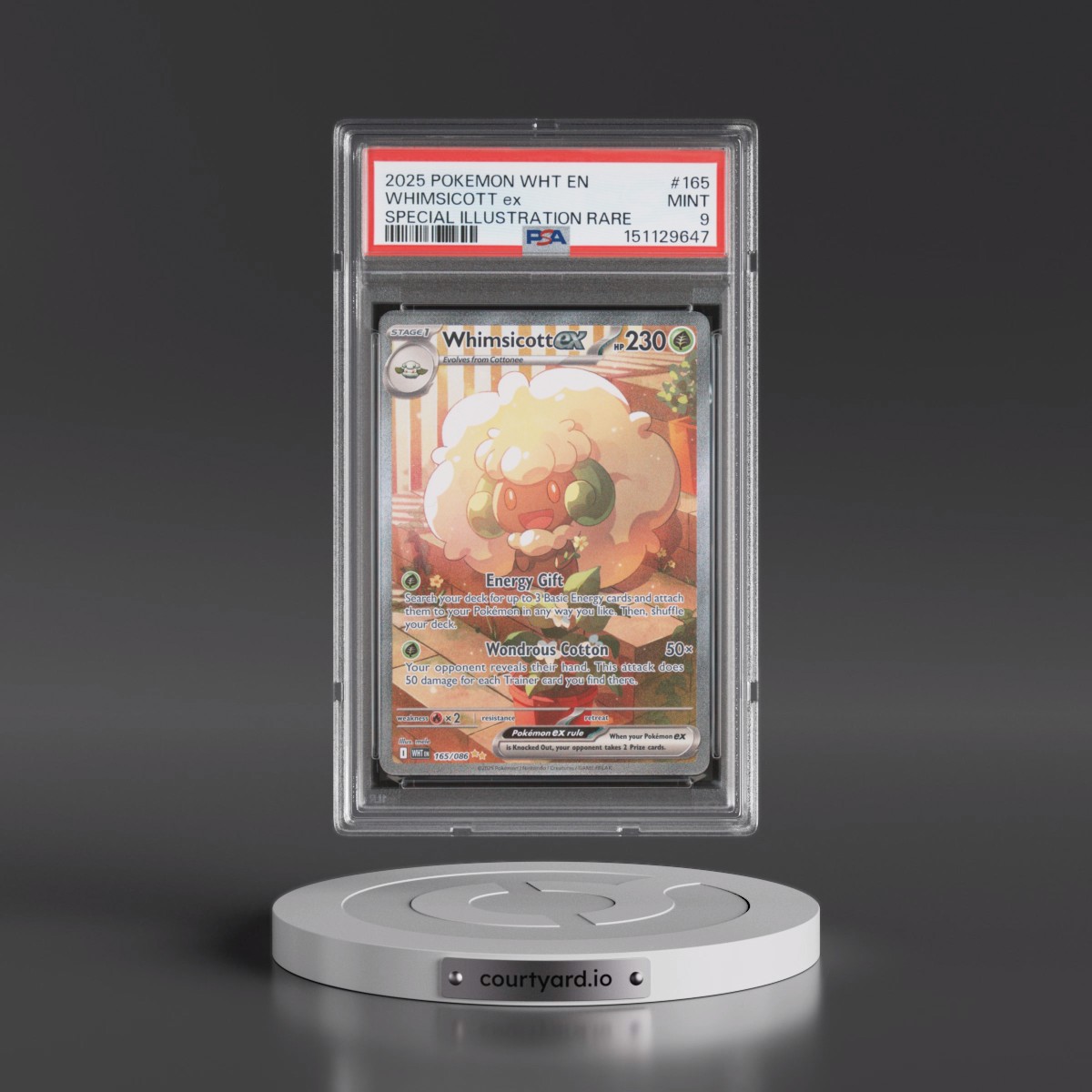 2025 Pokémon Wht EN-White Flare Whimsicott EX - Holo Special Illustration Rare #165 PSA 9