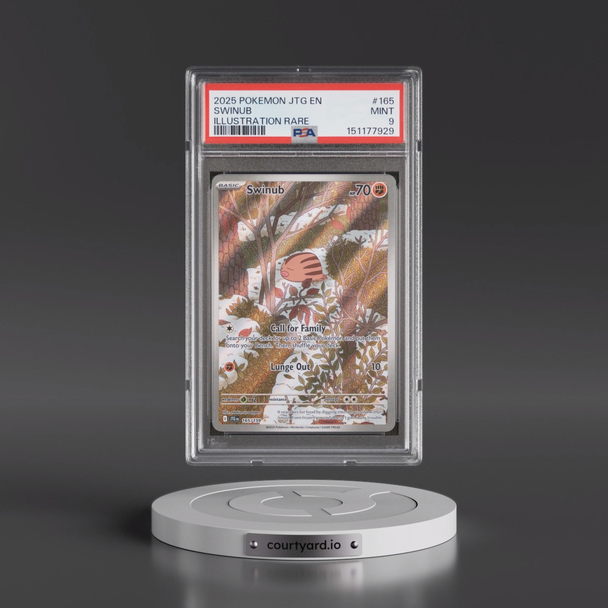 2025 Pokémon Jtg EN-Journey Together #165 Swinub - Illustration Rare (PSA 9 MINT)