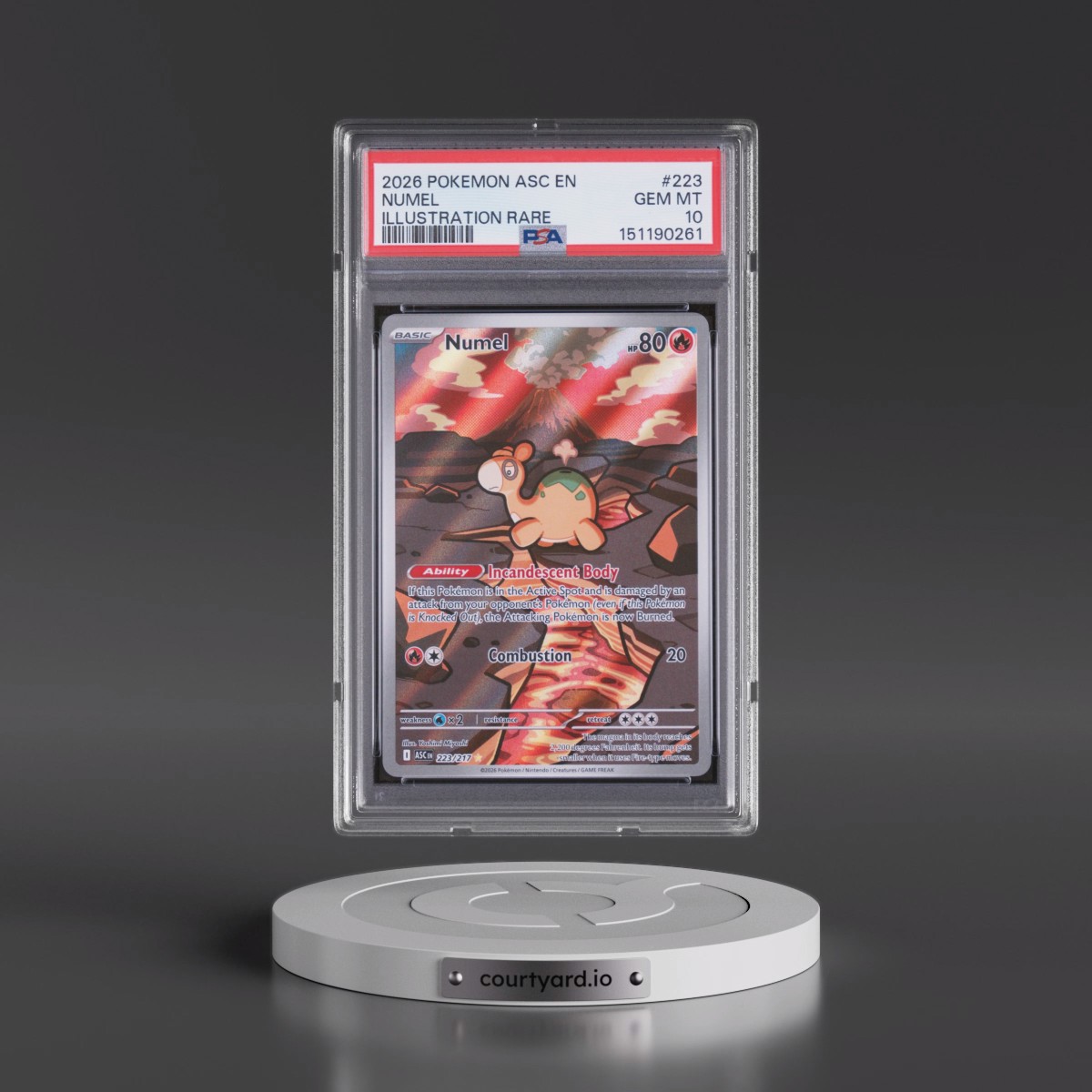 2026 Pokémon Asc EN-Ascended Heroes #223 Numel - Illustration Rare (PSA 10 GEM MINT)
