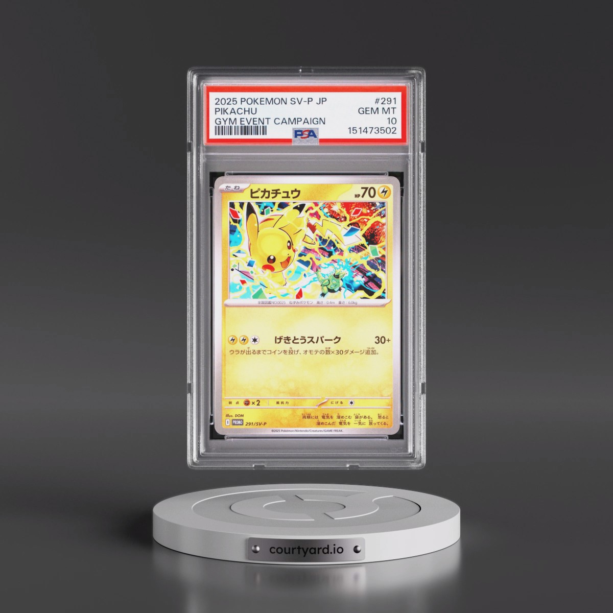 2025 Pokémon SV-P Promo #291 Pikachu - Gym Event Campaign (PSA 10 GEM MINT)