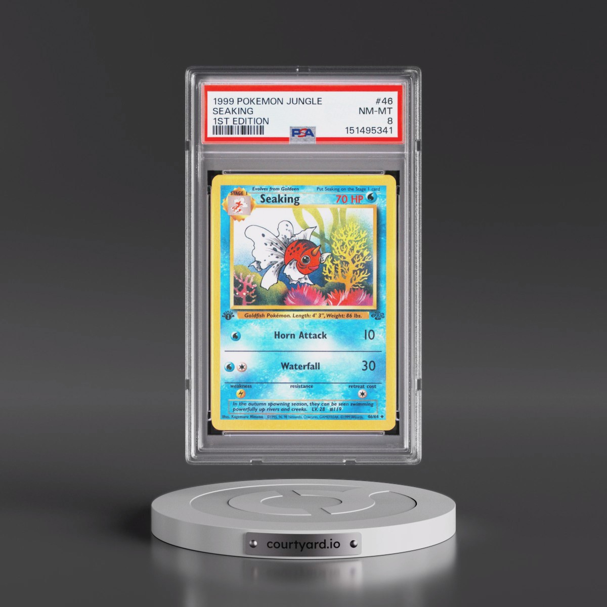 1999 Pokémon Jungle #46 Seaking - 1st Edition (PSA 8 NM-MT)