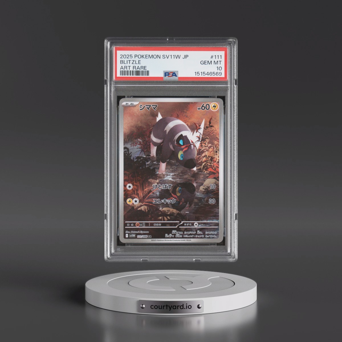 2025 Pokémon Sv11w-White Flare #111 Blitzle - Art Rare (PSA 10 GEM MINT)