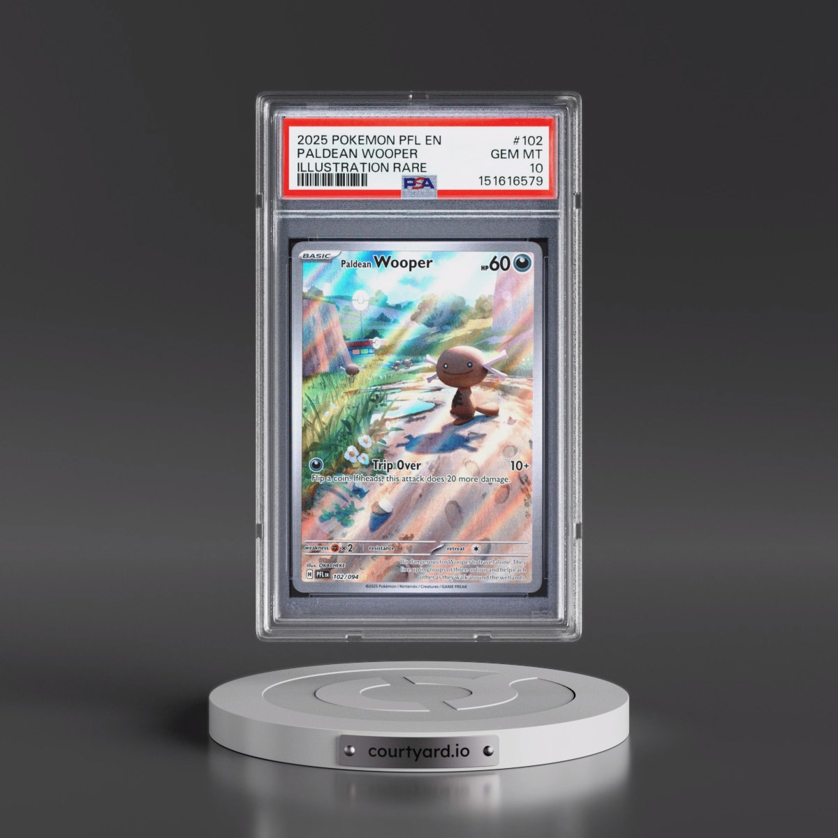 2025 Pokémon Pfl EN-Phantasmal Flames #102 Paldean Wooper - Illustration Rare (PSA 10 GEM MINT)