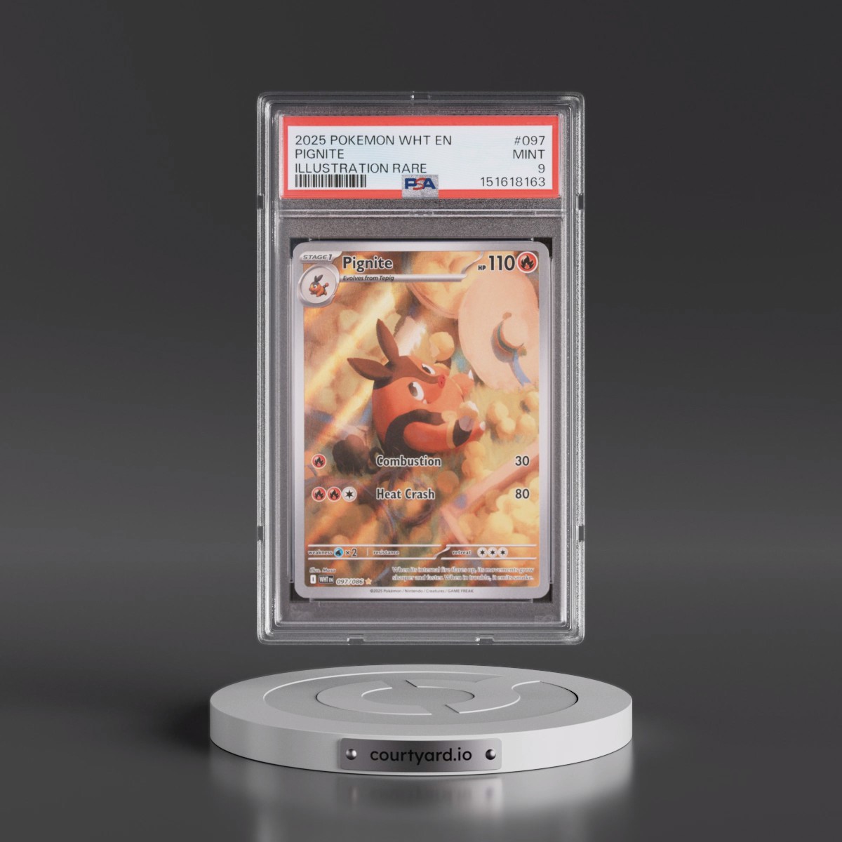 2025 Pokémon Wht EN-White Flare #097 Pignite - Illustration Rare (PSA 9 MINT)