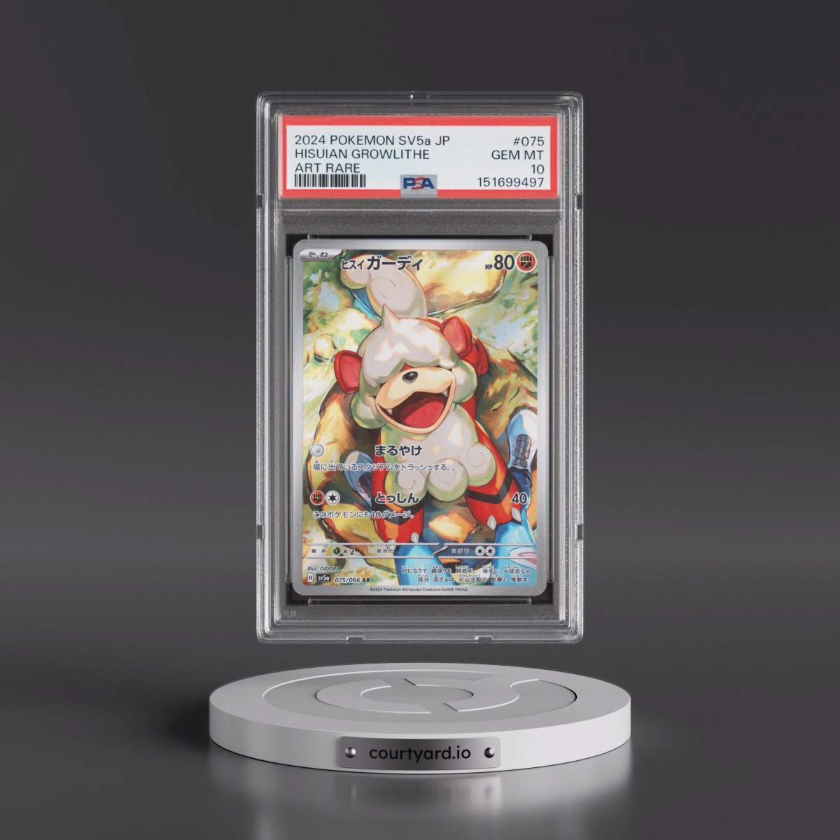 2024 Pokémon Sv5a-Crimson Haze #075 Hisuian Growlithe - Art Rare (PSA 10 GEM MINT)