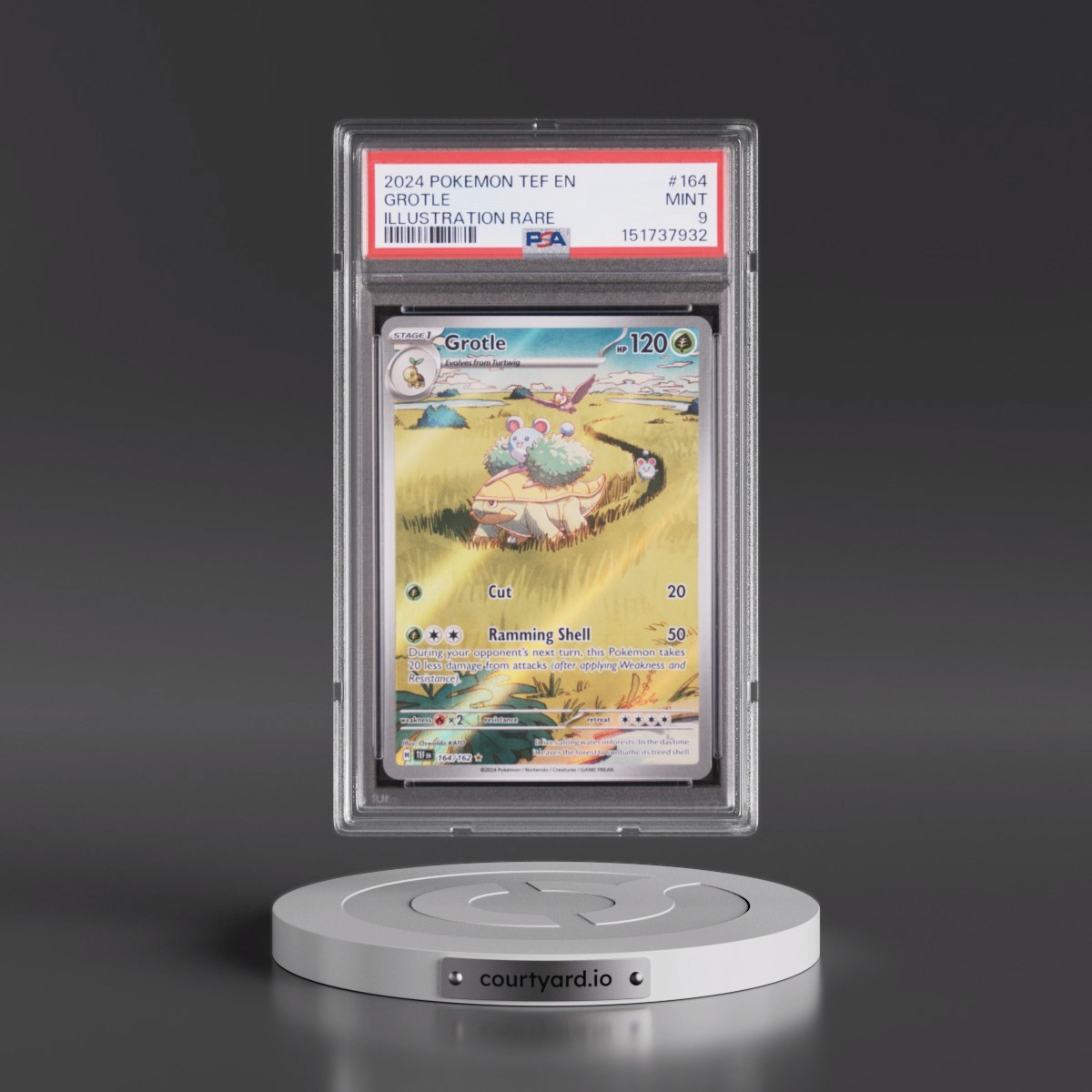 2024 Pokémon Tef EN-Temporal Forces #164 Grotle - Illustration Rare (PSA 9 MINT)