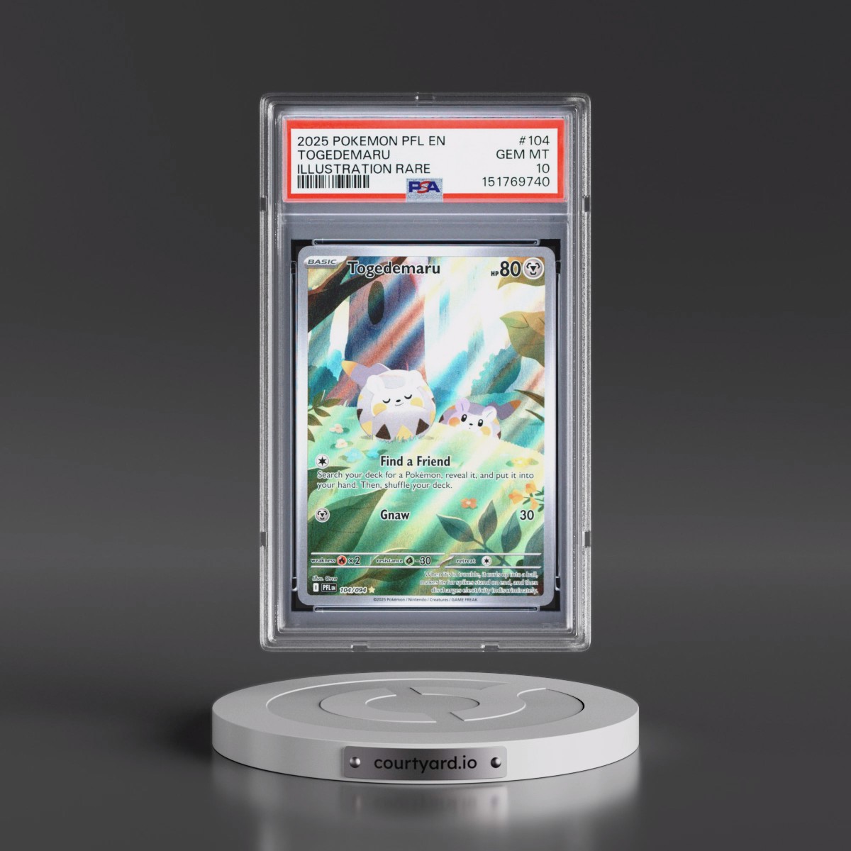 2025 Pokémon Pfl EN-Phantasmal Flames #104 Togedemaru - Illustration Rare (PSA 10 GEM MINT)
