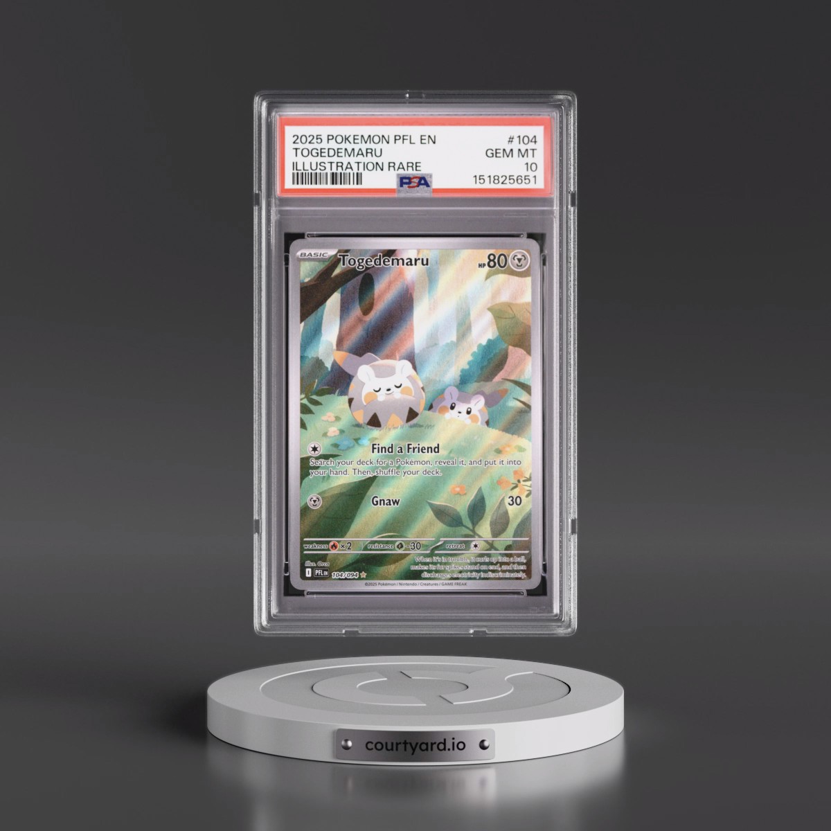 2025 Pokémon Pfl EN-Phantasmal Flames #104 Togedemaru - Illustration Rare (PSA 10 GEM MINT)
