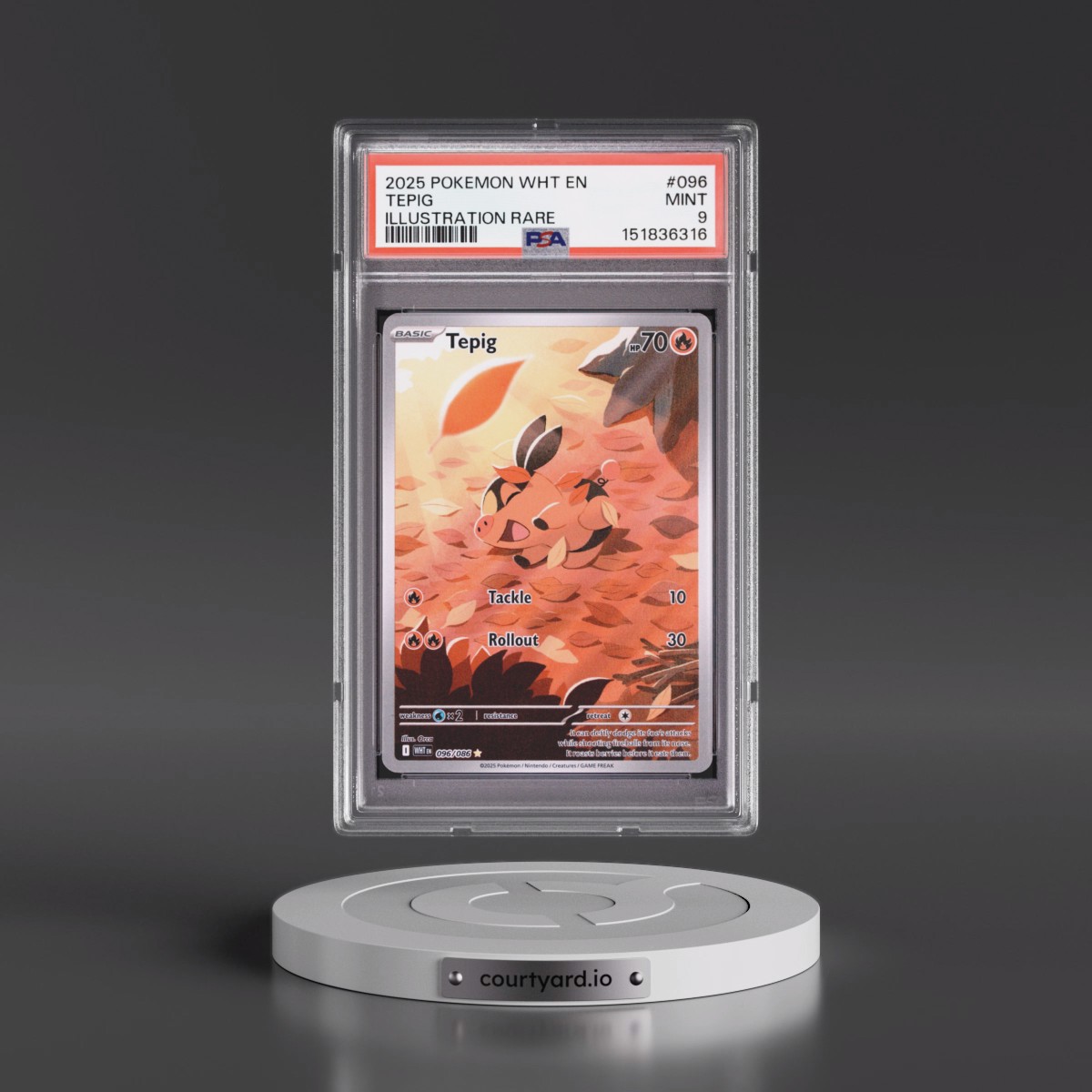 2025 Pokémon Wht EN-White Flare Tepig - Illustration Rare #096 PSA 9