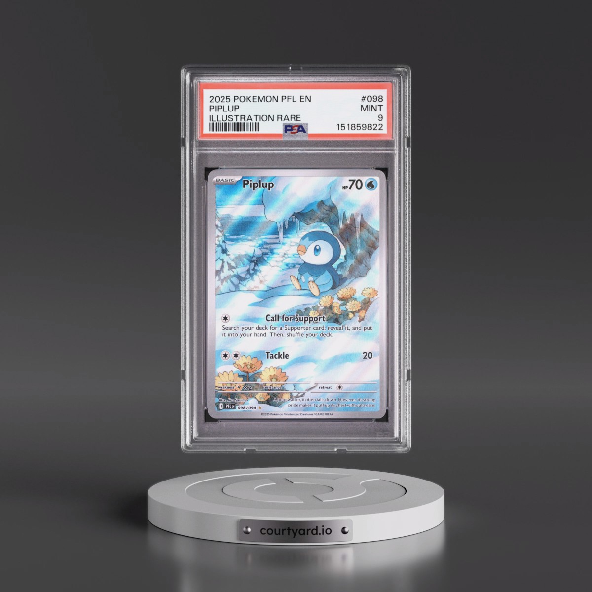 2025 Pokémon Pfl EN-Phantasmal Flames #098 Piplup - Illustration Rare (PSA 9 MINT)