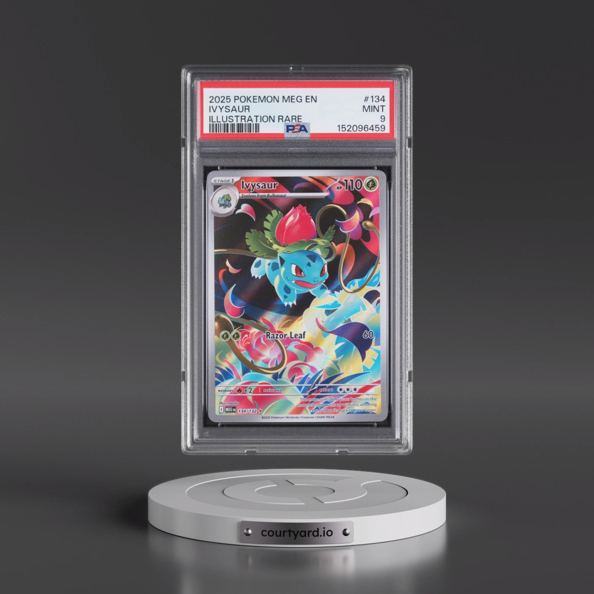 2025 Pokémon Meg EN-Mega Evolution #134 Ivysaur - Illustration Rare (PSA 9 MINT)