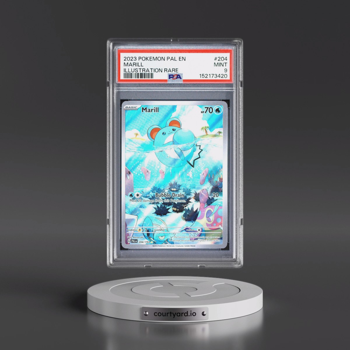 2023 Pokémon Pal EN-Paldea Evolved #204 Marill - Illustration Rare (PSA 9 MINT)
