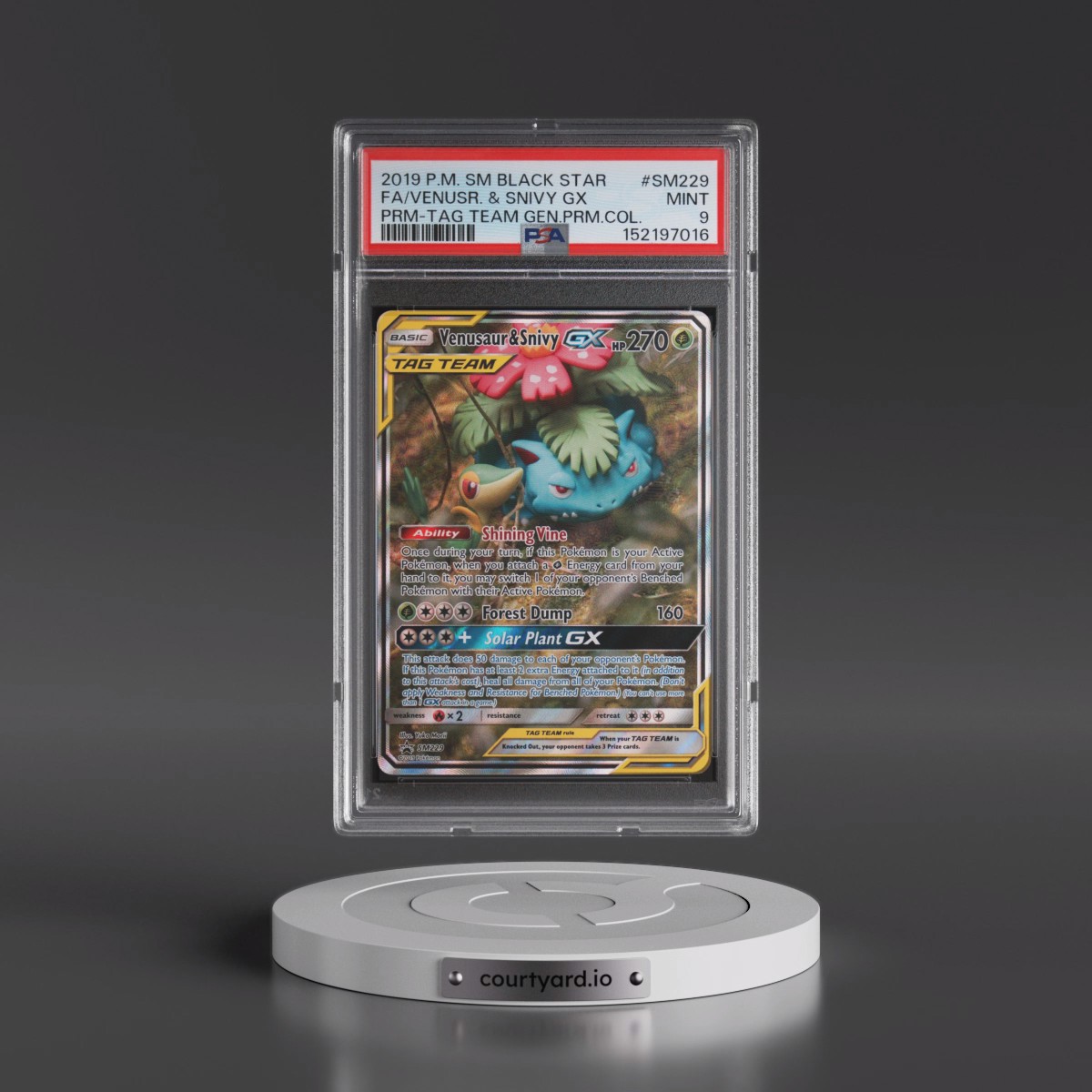 2019 Pokémon SM Black Star Promo #SM229 Venusaur & Snivy GX - Holo Full Art Tag Team Generations Premium Collection (PSA 9 MINT)