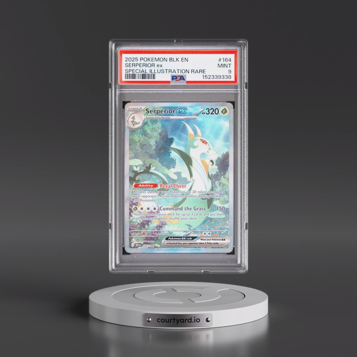 2025 Pokémon Blk EN-Black Bolt #164 Serperior EX - Holo Special Illustration Rare (PSA 9 MINT)